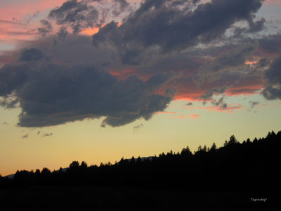 Montana sunset